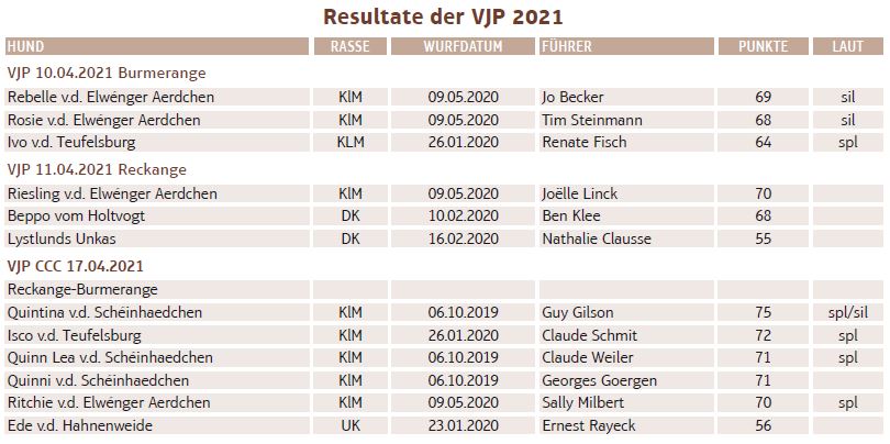 results vjp 2021